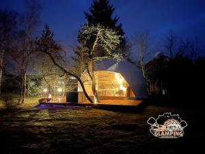a dome tent with a tree in a field at night at Glamping Krauschwitz in Krauschwitz +24 photos
