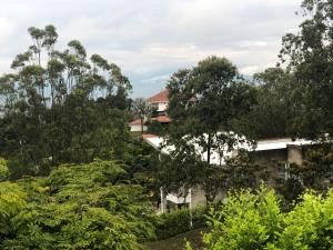 Gallery image of Aventurina in Jamundí