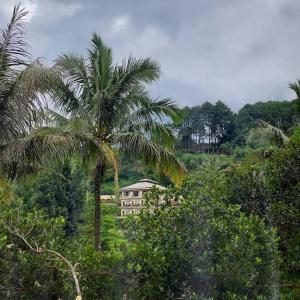 Vonkajšia záhrada v ubytovaní Albero Hotel Bogor
