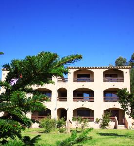 an apartment building with a palm tree in the foreground at 4 people apartment 350 m from the sea in Casaglione