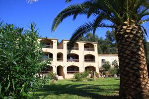 a palm tree in front of a building at 6 people apartment sea view, 350 m from the beach, near Ajaccio in Casaglione