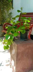 Giardino di Mandara Rest
