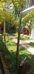 Giardino di Mandara Rest