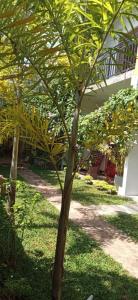Giardino di Mandara Rest