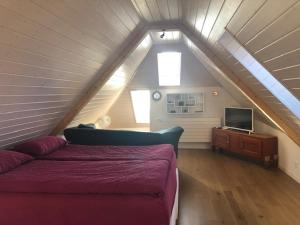 TV a/nebo společenská místnost v ubytování La Maison des Copains