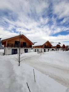 Alpenchalets Nassfeld v zime