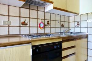 Virtuvė arba virtuvėlė apgyvendinimo įstaigoje Ciasa PREROMAN App. vista Castello