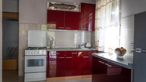 Apartment Kremžar Lokve的厨房或小厨房