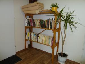 Biblioteca nell'affittacamere
