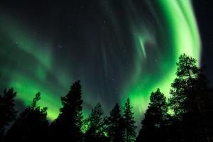 an image of the aurora borealis in the sky with trees at Sorrisniva Arctic Wilderness Lodge in Alta