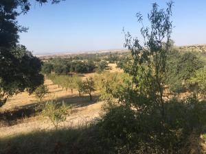 Fotografia z galérie ubytovania Casa Rural en Las Nieves v destinácii Las Nieves