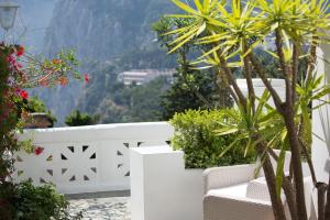 a white garden with a white fence and plants at Villa Mariuccia Capri in Capri