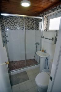 a bathroom with a shower and a toilet and a sink at Casa da Praya in Horta