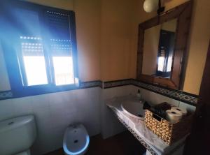 ein Badezimmer mit einem Waschbecken, einem WC und einem Spiegel in der Unterkunft Acogedor alojamiento Trevelez in Trevélez