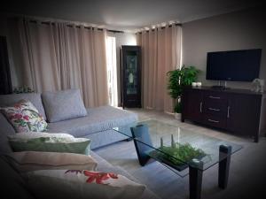 a living room with a couch and a tv at Bay-Side Apartment, Gordon's Bay in Gordonʼs Bay