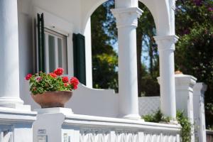 a white fence with a flower pot on a porch at Villa Mariuccia Capri in Capri