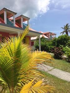 a house with a palm tree in front of it at Maison charmante à Sainte-Rose avec piscine partagée in Sainte-Rose +6 photos