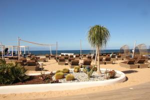 una spiaggia con sedie a sdraio, una palma e l'oceano di Europe Villa Cortes GL a Playa de las Americas