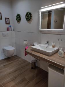 un bagno con lavandino e WC di Ferienwohnung Zur Mühle a Weener Altre 36 foto