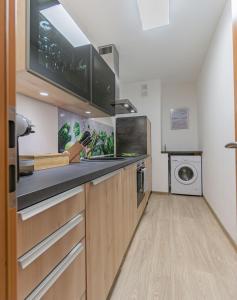a kitchen with a sink and a washing machine at Altstadtapartment, 80 qm,2 Schlafzimmer,Parkplatz,Netflix in Cottbus +15 photos
