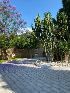 a cobblestone walkway with a palm tree and plants at Nostrana Village Apartments in Koskinou