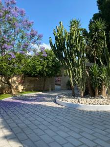 Κήπος έξω από το Nostrana Village Apartments +58 φωτογραφίες