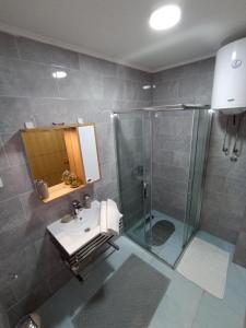茲拉蒂博爾的住宿－Apartman Rekić 23 Gondola，一间带水槽和淋浴的浴室