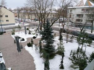 un parc avec un arbre de Noël dans la neige dans l'établissement Apartamentai Flora, à Palanga