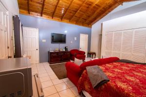 a bedroom with a red bed and a flat screen tv at 876 JA Oasis & Homestay - by Kingston Airport in Kingston