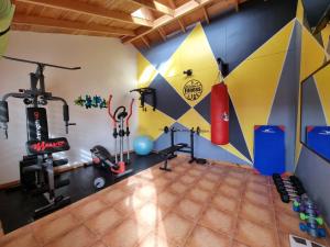 Fitness centrum a/nebo fitness zařízení v ubytování Apart Hotel Antu de Villarrica