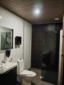 a bathroom with a shower and a toilet and a sink at Safarimajoitus in Kalajoki