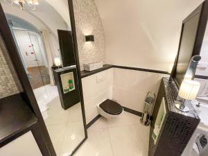 łazienka z toaletą i lustrem w obiekcie U Obecního dvora 3 - Old Town Apartment w Pradze