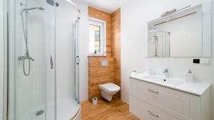 a bathroom with a shower and a sink and a toilet at Dom Sarnia 37, Sun & Snow in Karpacz