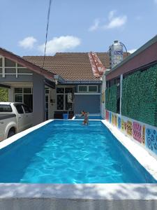 Kampong Jeli Kerawat的住宿－Jeli Homestay Ayer Puteh Jeli Kelantan Private Swimming Pool，泰迪熊站在游泳池中间