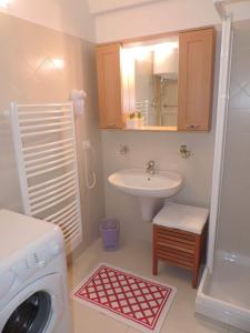 a bathroom with a sink and a washing machine at Casa vacanze a due passi dalle funivie in Marilleva