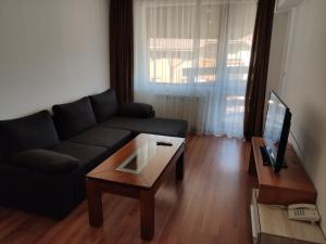 TV a/nebo společenská místnost v ubytování Bansko Belvedere Apartament