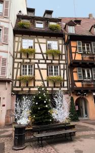 ein Gebäude mit einem Weihnachtsbaum davor in der Unterkunft Les Suites Du Cygne in Colmar