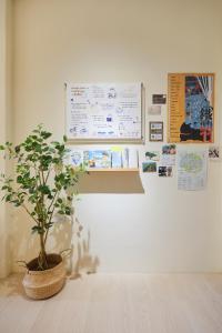 a potted plant sitting on a table next to a wall at Miruku Homestay in Taitung City