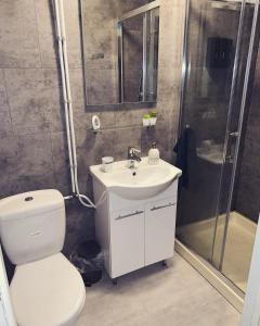 een badkamer met een toilet, een wastafel en een douche bij www huis op de veluwe nl in Nunspeet