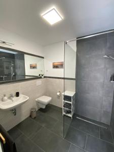 uma casa de banho com um chuveiro, um lavatório e um WC. em Haus am Brunnen Wohnung 1 em Klosterkumbd