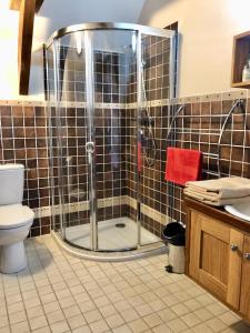 a bathroom with a shower and a toilet at Le Chêne Doux in Glandon