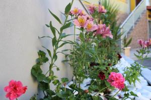 a bunch of flowers on a table next to a wall at Alojamento Por do Sol in Geres +7 photos