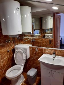 Un baño con inodoro, lavabo y espejo. en Hedonist, en Stara Pazova