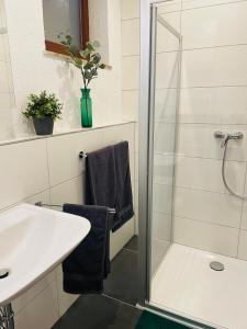 a bathroom with a sink and a glass shower at Ferienwohnung Emma an der Romantischen Straße in Weikersheim