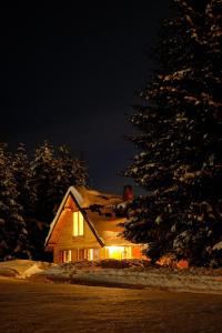 ein nachts beleuchtetes Haus mit einem Baum in der Unterkunft Vila Milica - Golija in Radaljica