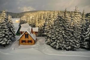 a cabin in a snowy forest with snow covered trees at Vila Milica - Golija in Radaljica