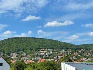 Fotografia z galérie ubytovania Kertvárosi nyugalom v Balatonfürede