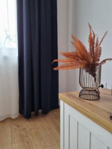 Fotografie z fotogalerie ubytování Lotus Apartman II v destinaci Odorheiu Secuiesc