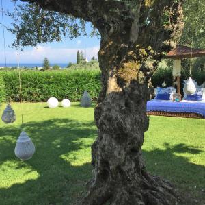 a tree with blue and white vases hanging from it at Lalla Luxury Villa in Lithakia