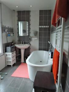a bathroom with a large tub and a sink at LES PINGOUINS DE LA MARNE in Le Perreux-Sur-Marne
